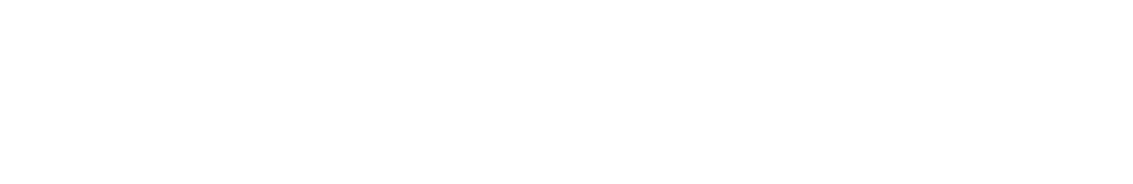 CallSetter AI